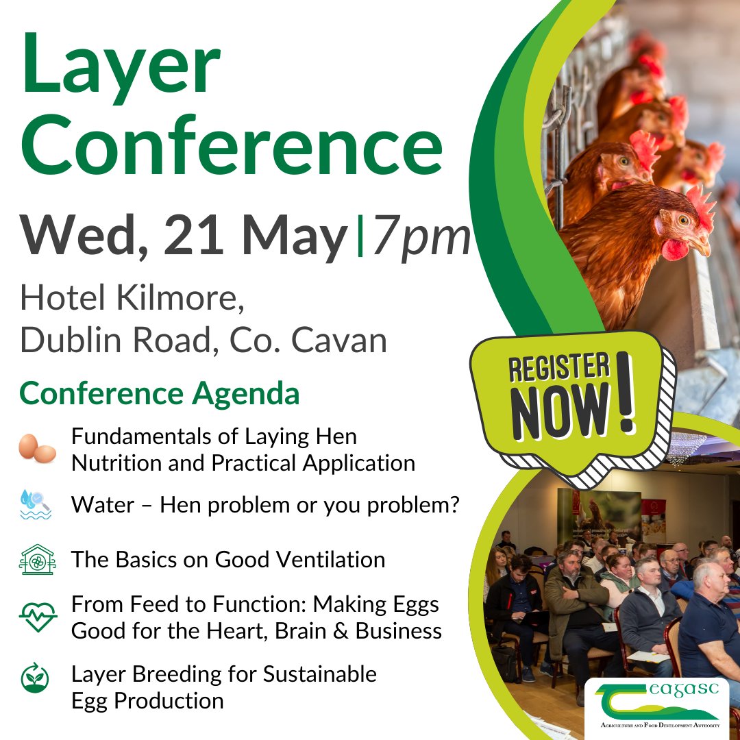 The Teagasc Annual Layer Conference will return for a third year, with the event taking place this Wednesday, 21 May at 7pm in the Hotel Kilmore, Dublin Road, Co. Cavan.
Register to attend here bit.ly/4akiHXb