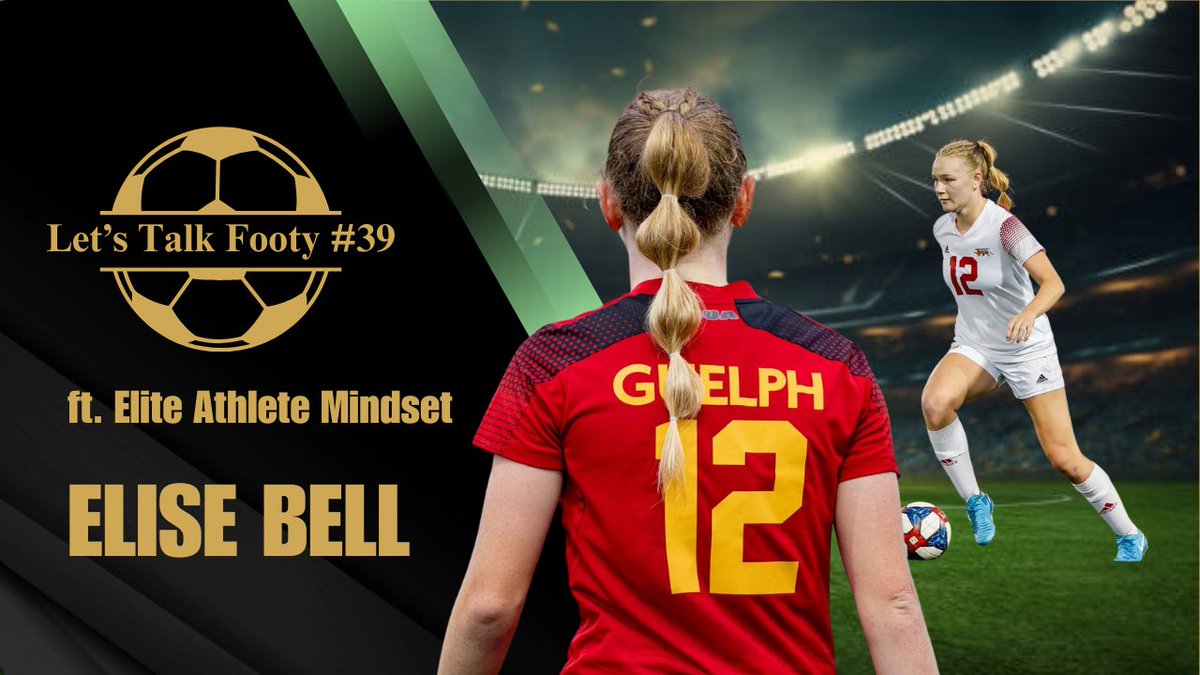 Shahin Tarkavan tweet media