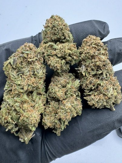 LakingsDistroLA's tweet photo. Platinum Ape 
$475 1-4
$425 5-9 
$375 10+ 🚢 $1 less local https://t.co/i04Ea538yG