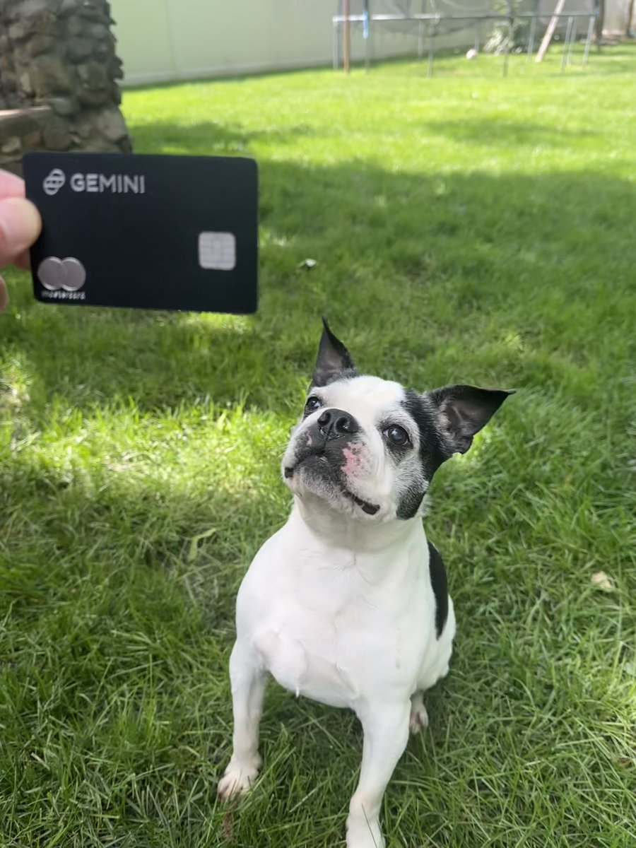 csaveri's tweet image. Even Tito is intrigued with the @Gemini Credit Card!  Earn up to 4% on purchases that’s deposited directly into your Gemini account!  No annual fee.  And, if you use my link below, you can earn a bonus of up to $250 🚀 #StackingSats #OrangeisthenewGold

creditcard.exchange.gemini.com/credit-card/ap…