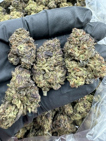 LakingsDistroLA's tweet photo. Lemon Cherry 
$525 1-4
$475 5-9
$425 10+ 🚢 $1 less local https://t.co/Xey2seGD74