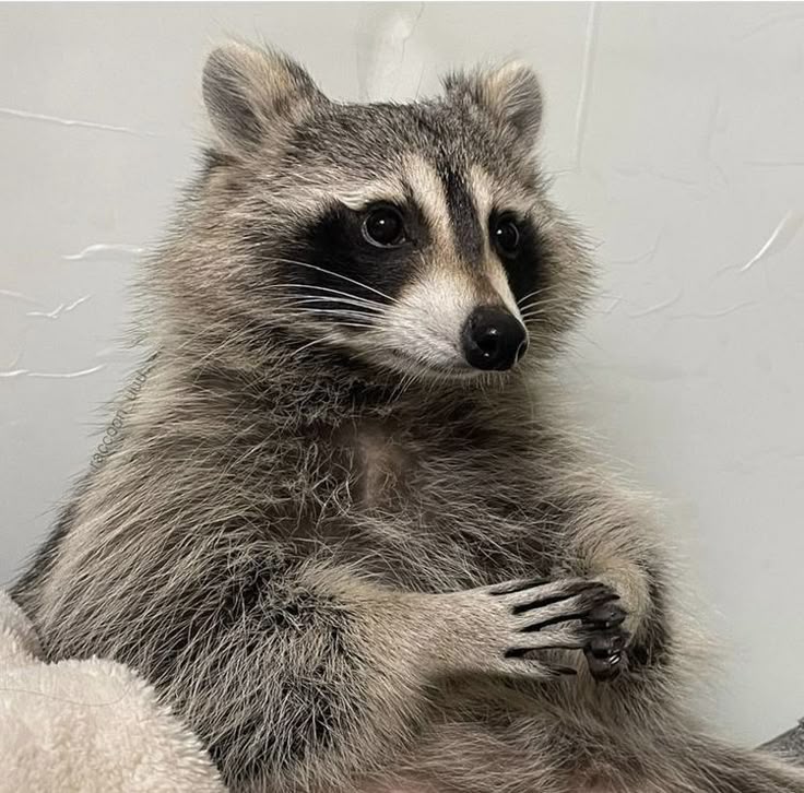 devoursplaces's tweet image. ⠀