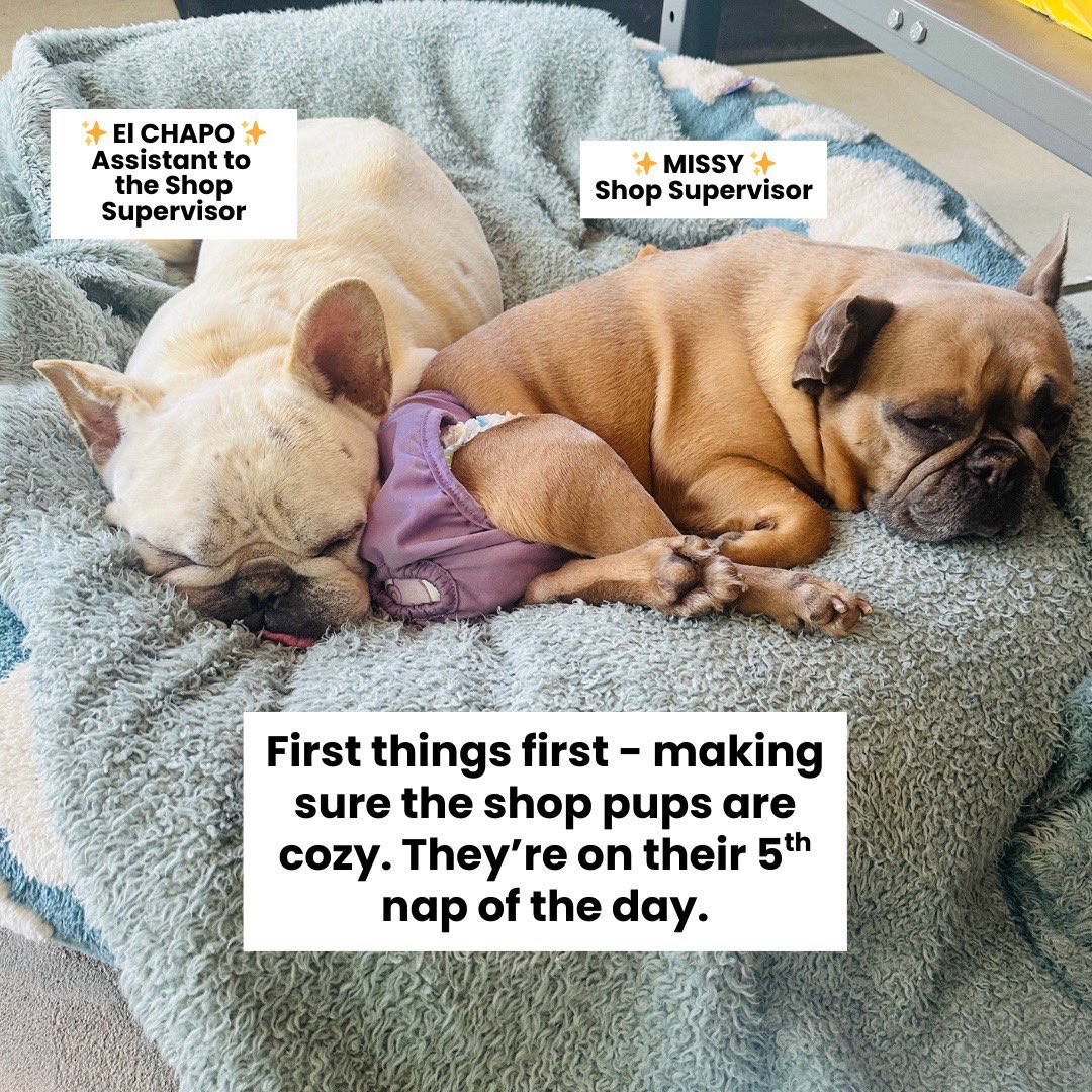 badtags's tweet photo. spend the day with me 🤠 #SmallBiz https://t.co/lKO9PKWKdT