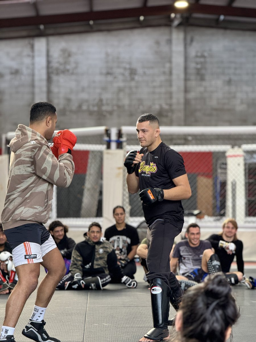 Cam Rowston tweet media