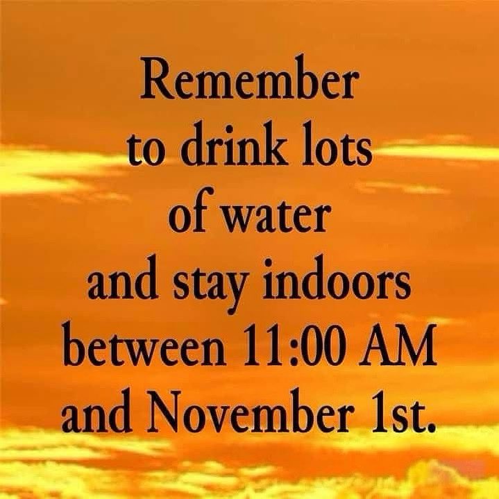 Meanwhile in #Florida 🤣🥵 @WINKNews