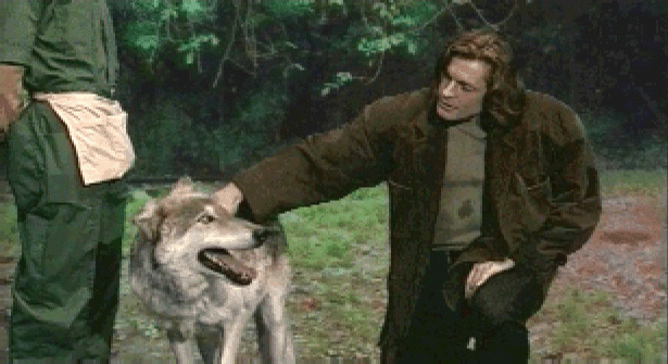 Phoenix Online tweet media