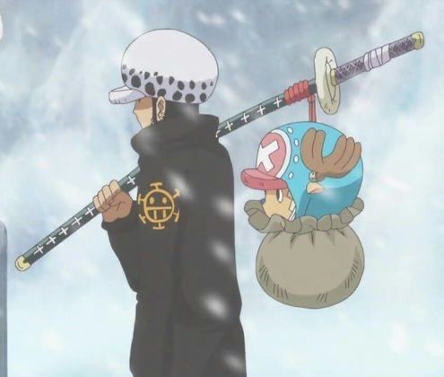 strawhats's tweet image. Law and Chopper 😭