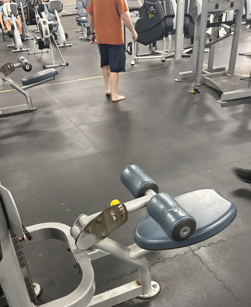 CasperW56988's tweet photo. Dogs out in the gym… is this #expand or #shrink https://t.co/VCYegYTRO9