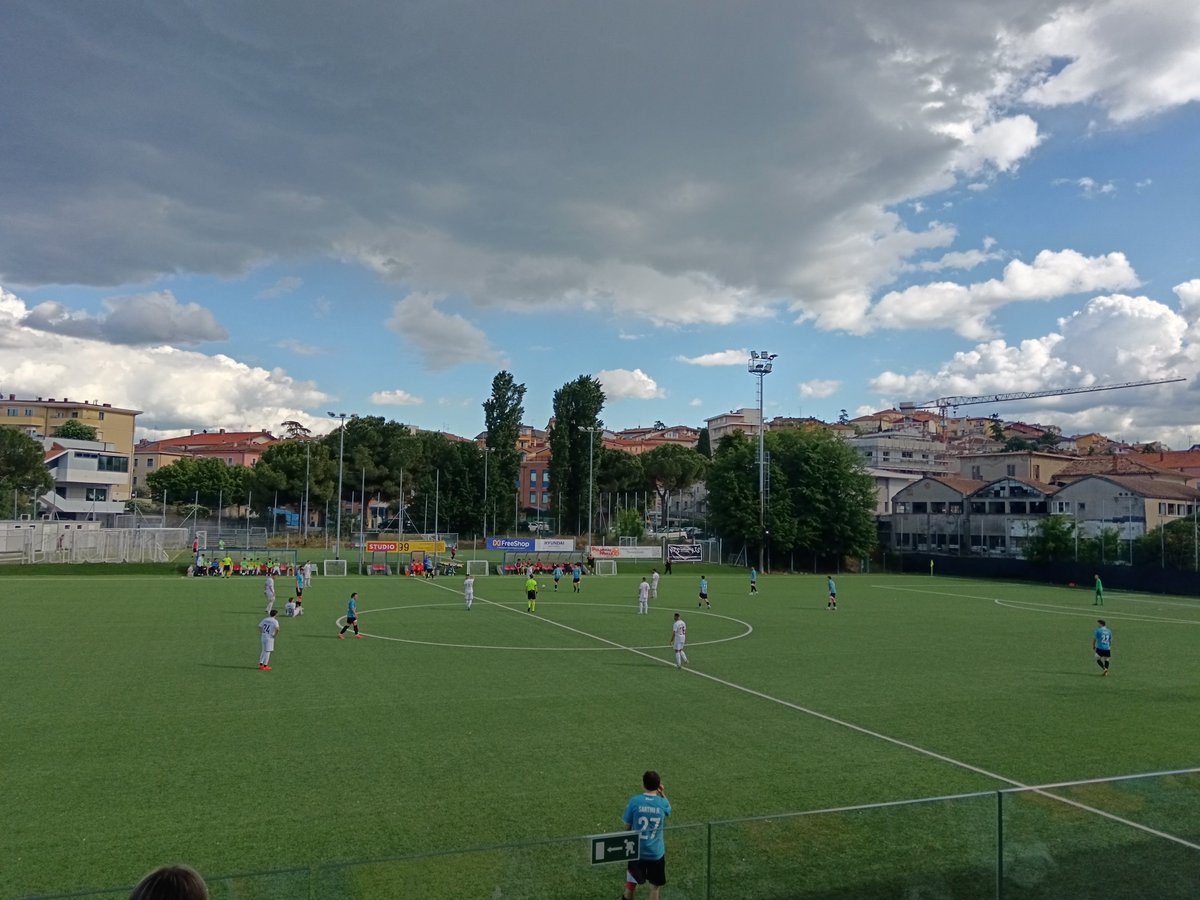 davidone tweet media