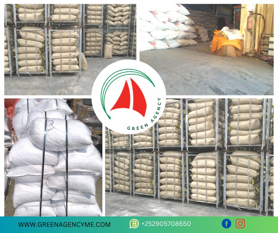 📸 See Green Agency in Action!
Behind every shipment, every logistics solution, and every partnership, there’s a success story. Explore our gallery today!
👉 greenagencyme.com/gallery#GreenS… #LogisticsExcellence #SeeOurWork