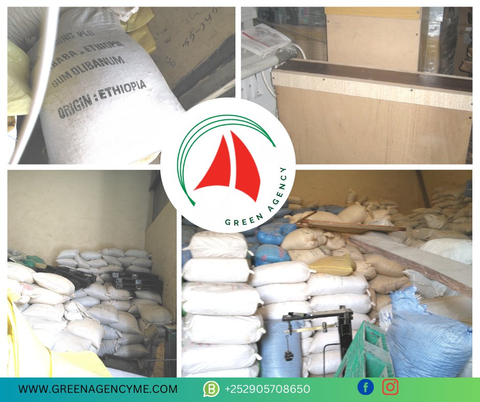 📸 See Green Agency in Action!
Behind every shipment, every logistics solution, and every partnership, there’s a success story. Explore our gallery today!
👉 greenagencyme.com/gallery#GreenS… #LogisticsExcellence #SeeOurWork