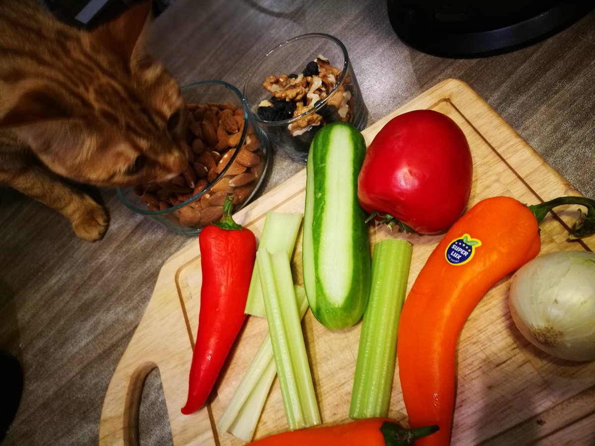 The Best meal 🍅🌶🥒🧅🥦🌱
kitten and salad 🐱🥗