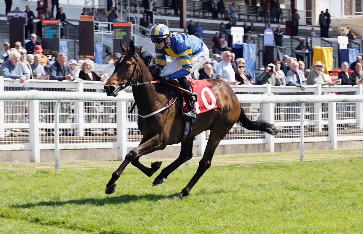 Barton Stud (@bartonstud1) on Twitter photo Willowinghurn powered home to win at <a href="/Redcarracing/">Redcar Racecourse</a> for <a href="/omeararacing/">David O'Meara</a> & <a href="/BeN_RobinsoN18/">Ben</a>.
Born & raised at #BartonStud, the filly by Ardad was sold <a href="/Tattersalls1766/">Tattersalls</a> Somerville Yearling Sale to Jason Kelly Bloodstock.
#BartonWinners Willowinghurn powered home to win at <a href="/Redcarracing/">Redcar Racecourse</a> for <a href="/omeararacing/">David O'Meara</a> & <a href="/BeN_RobinsoN18/">Ben</a>.
Born & raised at #BartonStud, the filly by Ardad was sold <a href="/Tattersalls1766/">Tattersalls</a> Somerville Yearling Sale to Jason Kelly Bloodstock.
#BartonWinners