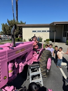 ButtonwillowUSD tweet media