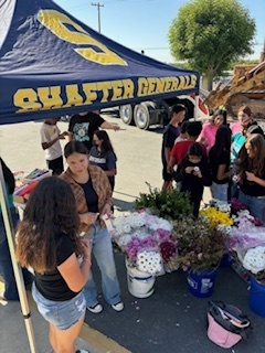 ButtonwillowUSD tweet media