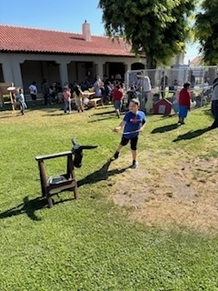 ButtonwillowUSD tweet media