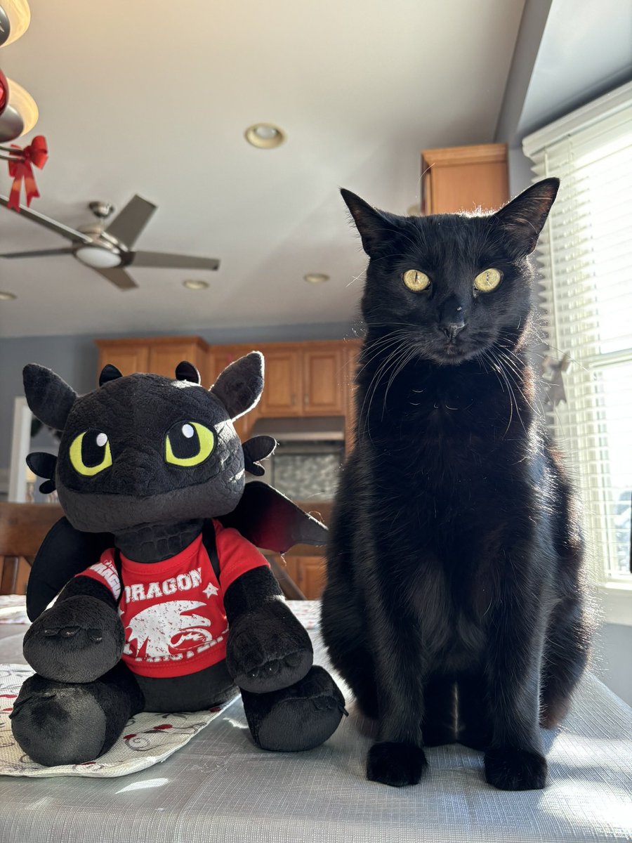 odetopolarizee's tweet photo. @HTTYDragon #toothlesslookalikechallenge I even call topps toothless sometimes! @HTTYDragon https://t.co/tuBehNPyp9