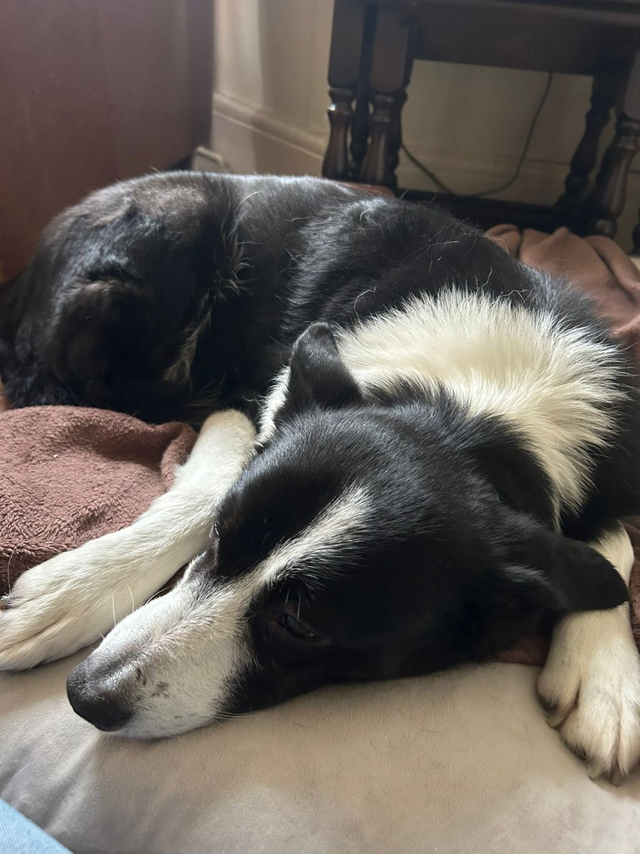 Steve West tweet media