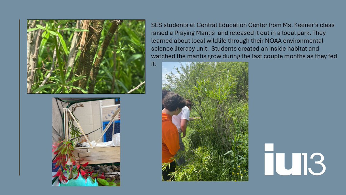 STEM at IU13 (@stematiu13) on Twitter photo Ms. Keener's class at SES@CEC within <a href="/IU13/">Lanc-Leb IU13</a> raised a praying mantis and released it to its natural habitat. Students fed, named and created an inside habitat for the mantis. Ms. Keener's class at SES@CEC within <a href="/IU13/">Lanc-Leb IU13</a> raised a praying mantis and released it to its natural habitat. Students fed, named and created an inside habitat for the mantis.