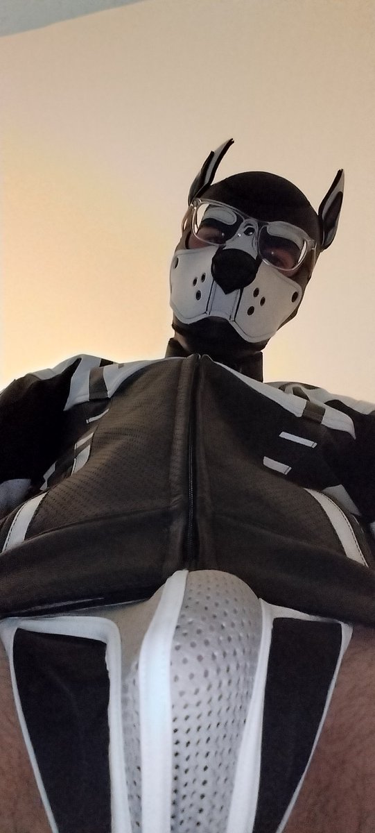 HailcoreBiker44's tweet photo. Bikerpup
#gaypup #gay https://t.co/tqYNegcNQH
