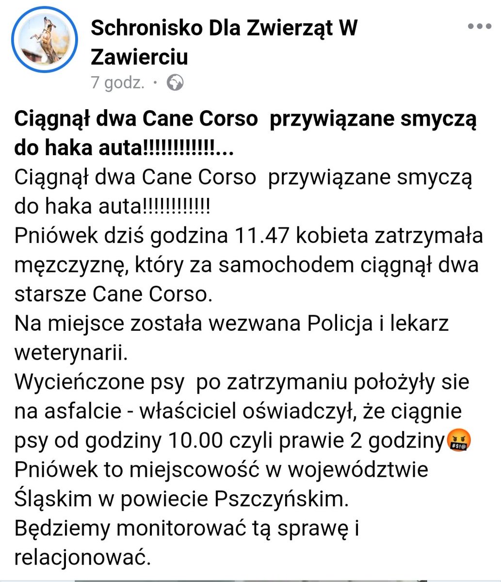 adam_to_ja's tweet photo. Skandaliczna sytuacja. Ale również skandaliczne jest to, że psy zostały pozostawione pod opieką tego właściciela. https://t.co/rjpBRtlWBB