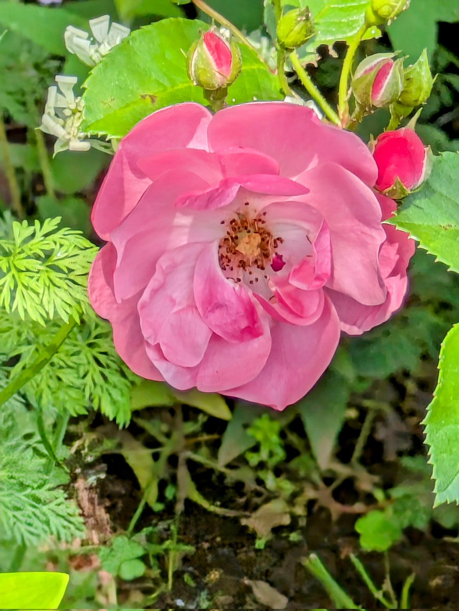 5月20日(火)   15℃
皆様
おはようございます😊
本日も
宜しくお願いします🙇