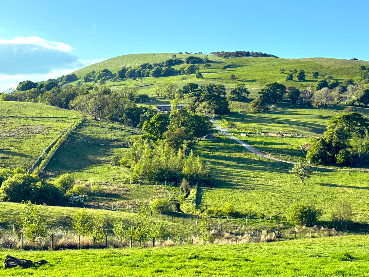 Love these time lapses of our farm changing… 15 years in four images 

Wish we had one from ten years earlier as it was mid change 15 years ago
