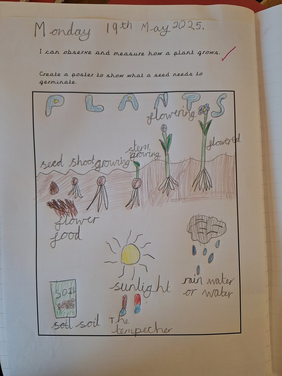 EastfieldPSHull's tweet image. #2CS enjoyed creating their Plants posters in Science this afternoon! We included facts we have learned and used key vocabulary. #epsscience