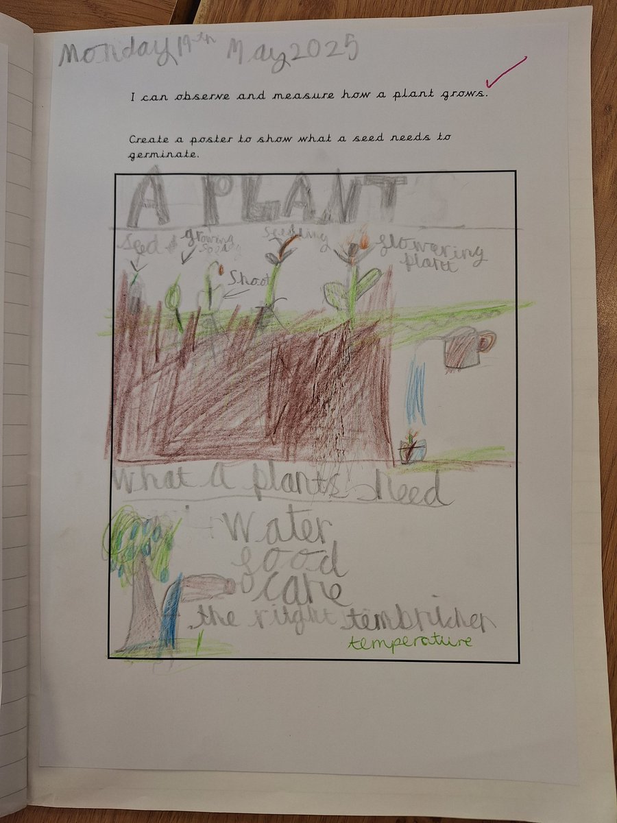 EastfieldPSHull's tweet image. #2CS enjoyed creating their Plants posters in Science this afternoon! We included facts we have learned and used key vocabulary. #epsscience