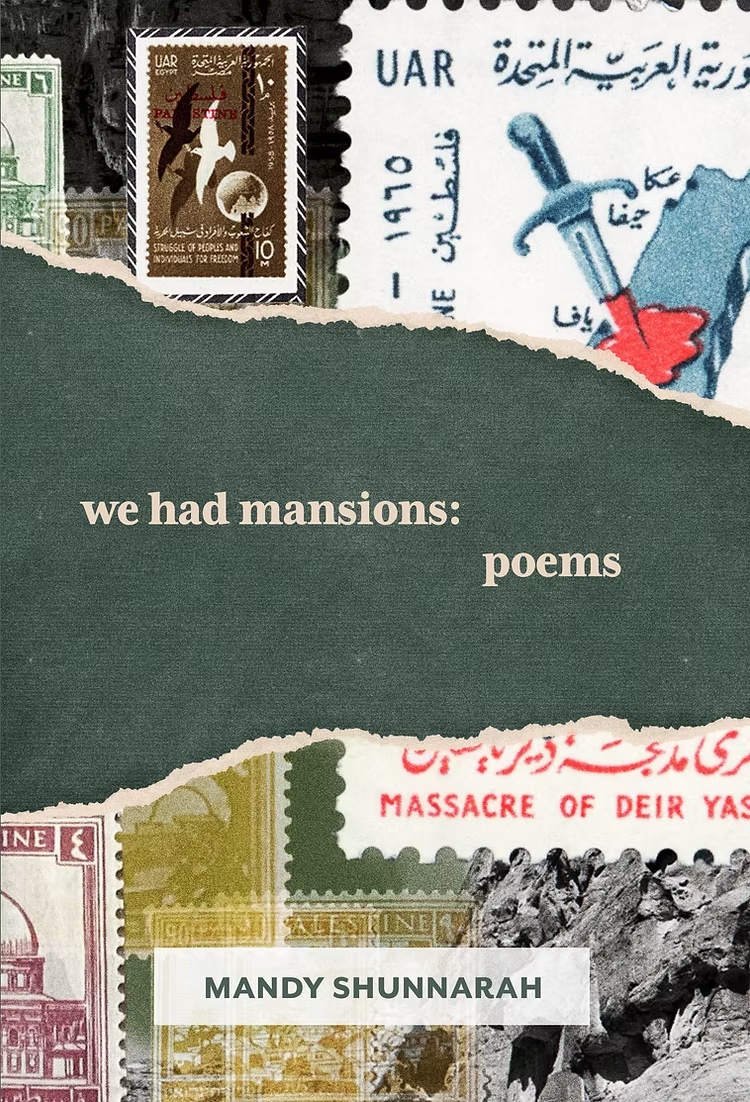 fixedbaroque's tweet image. My very Pali poetry collection, WE HAD MANSIONS, has a cover!! Pre-order now from @DiodeEditions!
diodeeditions.com/product-page/w… #coverreveal #poetry #poetrycommunity #poetrylovers #PoetryIsLife #poetrytwitter