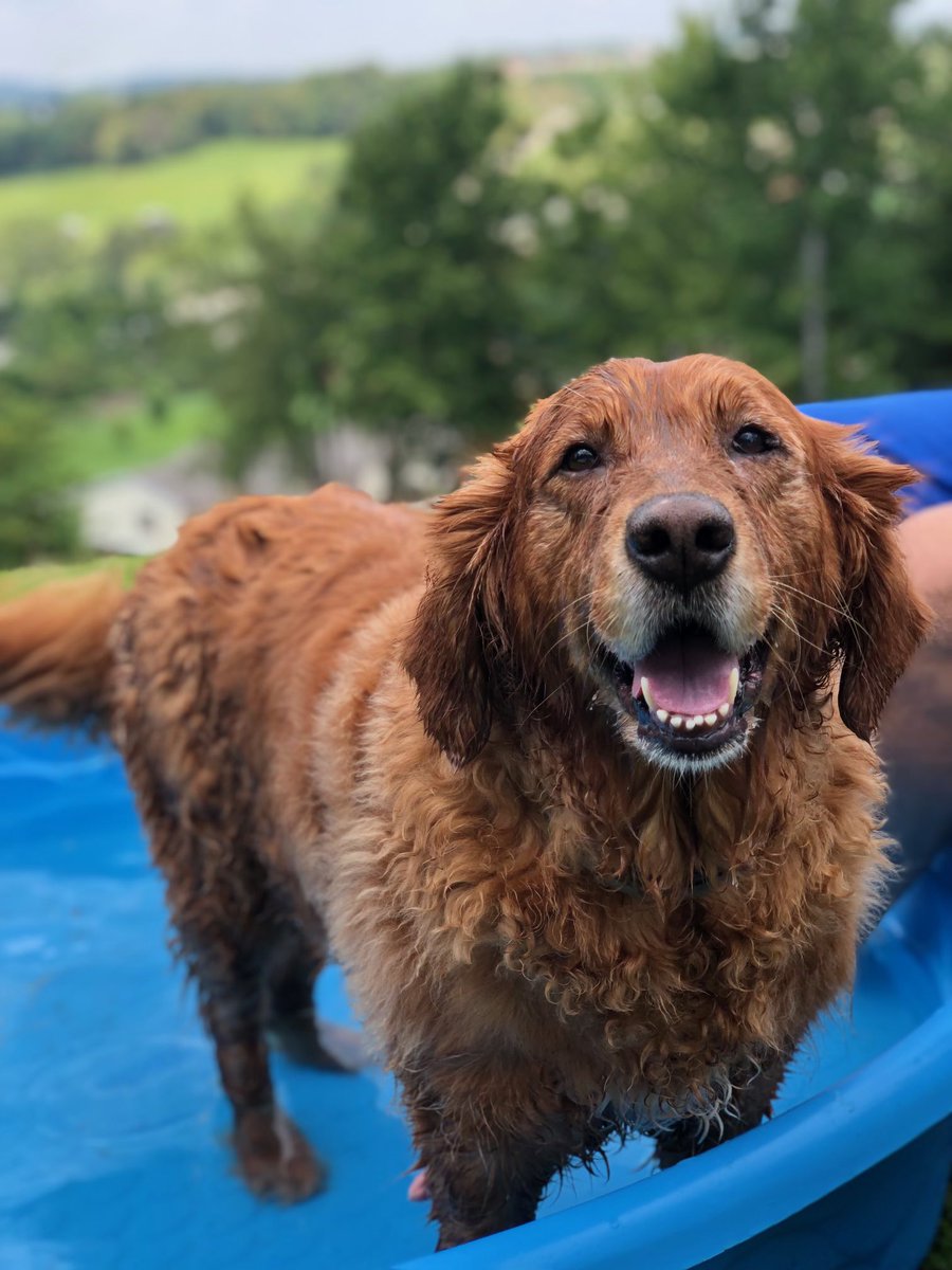 Happy Daisy Day for those who celebrate