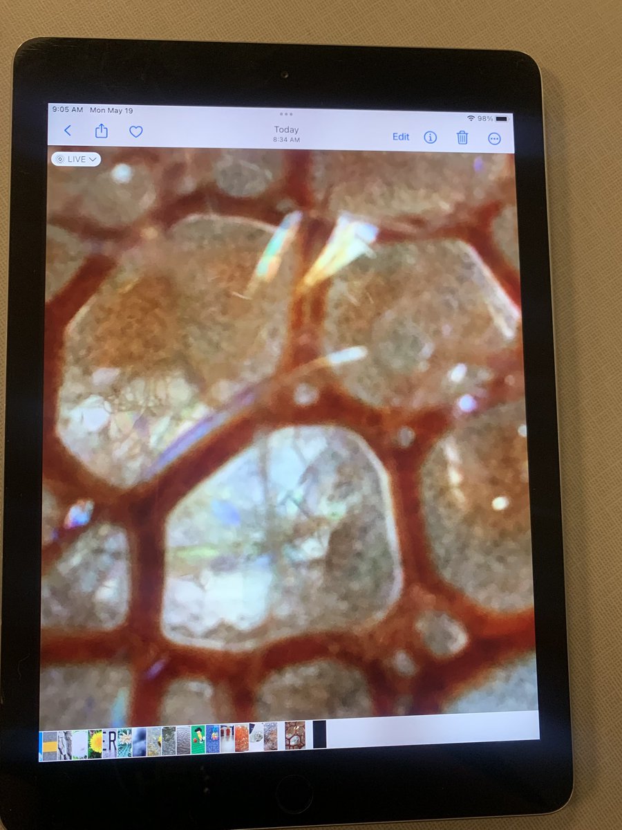 cindy_hundley's tweet image. Water, oil, soap and a little food coloring made for some great pics today in the library! @gutermuthes @jcaslky @jcps_lms #bubbles #jcpsdigin #photography #fromclickstopics