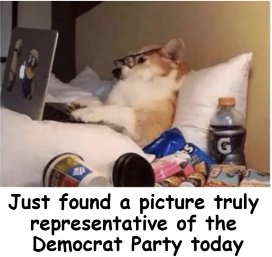 Penny Calls a Lid ๐บ๐ธ๐ฎ๐น (@pswal807) on Twitter photo ๐Penny502๐
Democrat Party
<a href="/VirgoTheSixth/">๐ฃVirgo4Justice๐บ๐ธ๐ฎโโ๏ธ๐ฎ๐ฑ๐ฅ#๐ฆ</a>
<a href="/ArrowheadNFL/">Arrowhead Addict</a>
<a href="/DMashak/">Don Mashak</a>
<a href="/FAB87F/">GMan (าะปะตะฝะฝ) โ๏ธ๐ฌ๐ง๐บ๐ฆ๐บ๐ธ๐ต๐ฑ๐ฎ๐ฑ๐๐ป</a>
<a href="/NancyMar2022/">๐Courage4ever ๐</a>
<a href="/JimPidd/">JimPidd</a>
<a href="/BigPopz72/">Big Popz</a>
<a href="/earthing5000/">EARTH!๐บ๐ธ</a>
<a href="/PSwal807/">Penny Calls a Lid ๐บ๐ธ๐ฎ๐น</a>
<a href="/Whyohyme1/">Whyohyme</a>
<a href="/texasrecks/">TexasRex ๐บ๐ธ</a>
<a href="/PecanC8/">๐บ๐ธ Pecan ๐บ๐ธ</a>
<a href="/RedPilledNurse/">RedPilledNurse</a>
<a href="/Realcajuntex/">Jeremy</a>
@TDMPatriot
<a href="/Wil__liW/">๐บ๐ธ ๐๐ข๐ฅ๐ฅ ๐บ๐ธ</a>
<a href="/RedRidingHoodKS/">๐๐ฎ๐ท๐ท๐ แฅซแญก</a>
<a href="/dsware123/">@dsware123 ๐ฝ</a>
<a href="/Tweeklives/">twk4usa</a>
@Casanovax8x
<a href="/45mx_7/">Maximus</a> ๐Penny502๐
Democrat Party
<a href="/VirgoTheSixth/">๐ฃVirgo4Justice๐บ๐ธ๐ฎโโ๏ธ๐ฎ๐ฑ๐ฅ#๐ฆ</a>
<a href="/ArrowheadNFL/">Arrowhead Addict</a>
<a href="/DMashak/">Don Mashak</a>
<a href="/FAB87F/">GMan (าะปะตะฝะฝ) โ๏ธ๐ฌ๐ง๐บ๐ฆ๐บ๐ธ๐ต๐ฑ๐ฎ๐ฑ๐๐ป</a>
<a href="/NancyMar2022/">๐Courage4ever ๐</a>
<a href="/JimPidd/">JimPidd</a>
<a href="/BigPopz72/">Big Popz</a>
<a href="/earthing5000/">EARTH!๐บ๐ธ</a>
<a href="/PSwal807/">Penny Calls a Lid ๐บ๐ธ๐ฎ๐น</a>
<a href="/Whyohyme1/">Whyohyme</a>
<a href="/texasrecks/">TexasRex ๐บ๐ธ</a>
<a href="/PecanC8/">๐บ๐ธ Pecan ๐บ๐ธ</a>
<a href="/RedPilledNurse/">RedPilledNurse</a>
<a href="/Realcajuntex/">Jeremy</a>
@TDMPatriot
<a href="/Wil__liW/">๐บ๐ธ ๐๐ข๐ฅ๐ฅ ๐บ๐ธ</a>
<a href="/RedRidingHoodKS/">๐๐ฎ๐ท๐ท๐ แฅซแญก</a>
<a href="/dsware123/">@dsware123 ๐ฝ</a>
<a href="/Tweeklives/">twk4usa</a>
@Casanovax8x
<a href="/45mx_7/">Maximus</a>