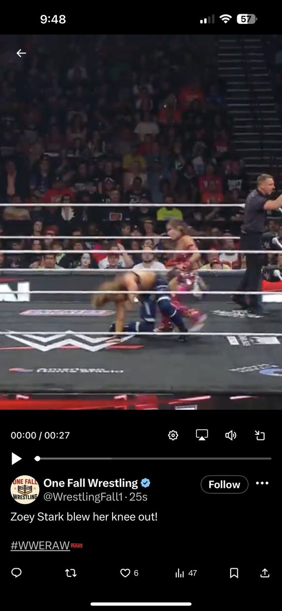 Veryraredillon's tweet image. Ouch… #WWERaw