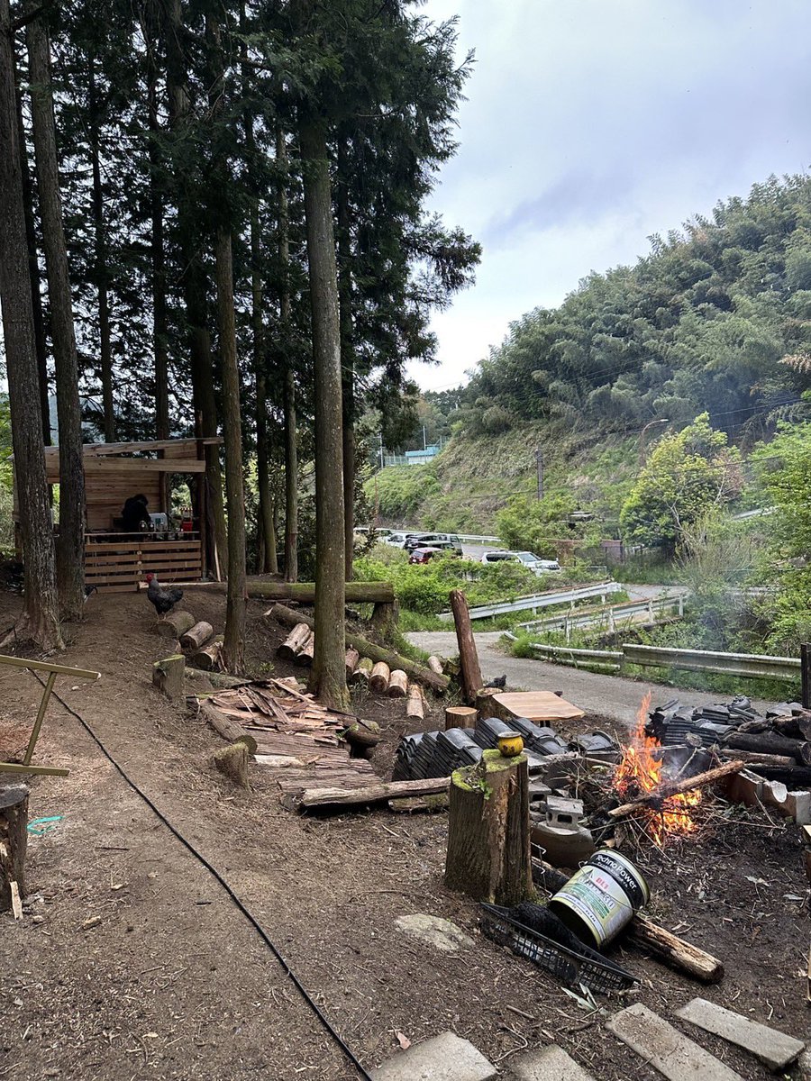 ltd_tocoto's tweet photo. 山を購入してから忙しすぎる〜…けど夢にドンドン近づいてる… 
#家庭養鶏 #自然の日々 #健康第一 https://t.co/i37utYZdbF