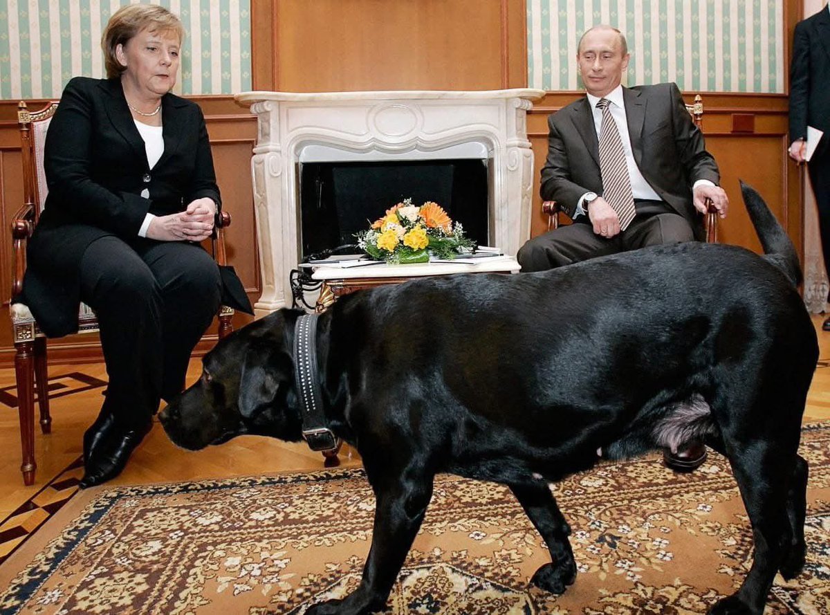 earth_tracker's tweet image. Thread of Vladimir Putin in unique situations 🧵
1. In a 2007 meeting, Putin brought in his Dog in front of the German Chancellor Angela Merkel, who has a phobia of dogs.