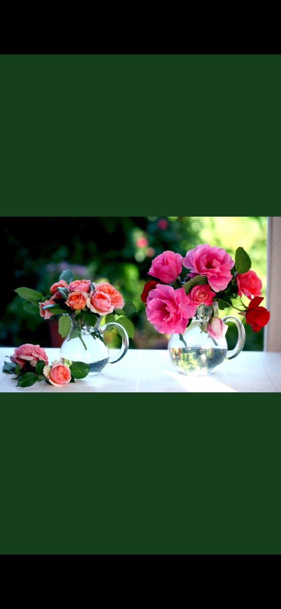 في بعض الأحيان نتعمد أن نفهم بعض الأمور خطأً ،لأنّ صحيحها مؤلم جداً 🕊️🥀