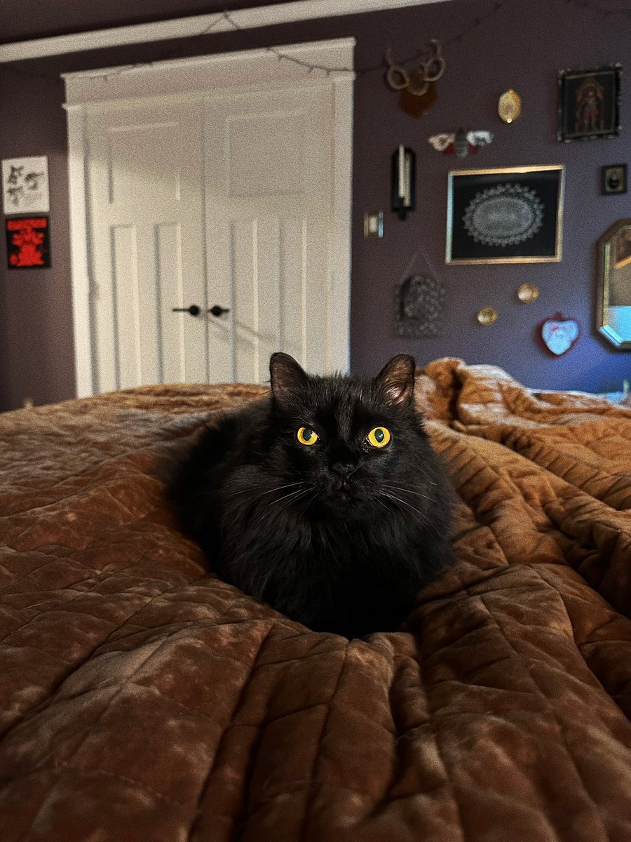 timmy posting