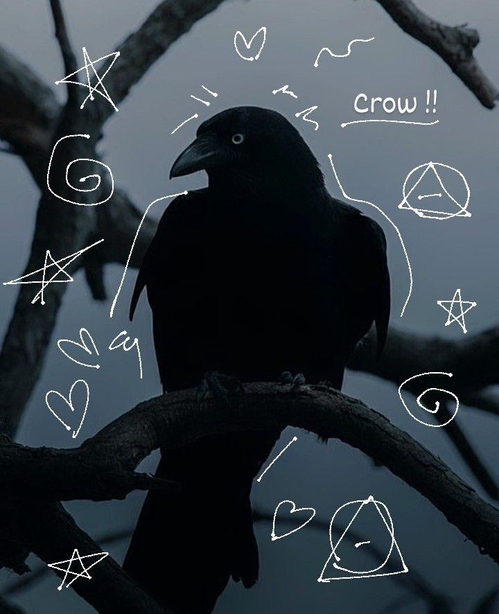 𝙥𝙝𝙞𝙡 ! tweet media