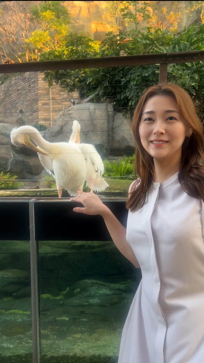 ペリカンさんとツーショット🦢 https://t.co/8Sa5E7KsHf