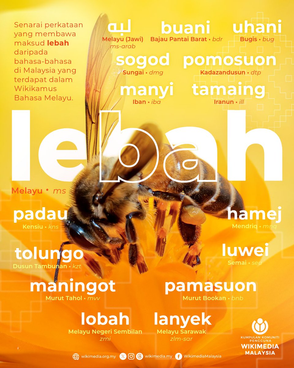 Sang pendebunga kenit ini dicipta dengan memberikan banyak kelebihan kepada manusia. 

Hari ini, Hari Lebah Sedunia, diadakan bagi mengenang peranan mereka kepada ekosistem kehidupan.

Apakah "lebah" dalam bahasa anda?

#harilebahsedunia
#worldbeeday
