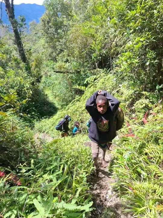 VeronicaKoman's tweet image. More than 200 villagers have been newly displaced in Intan Jaya, West Papua, due to a recent Indonesian military operation.