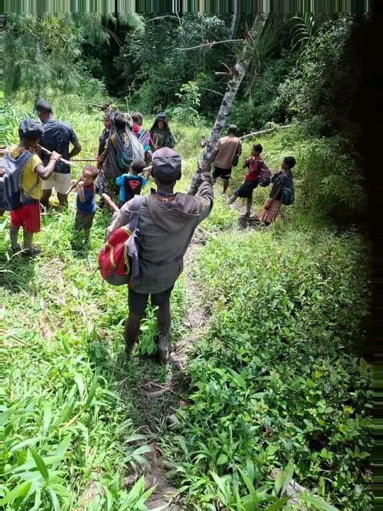 VeronicaKoman's tweet image. More than 200 villagers have been newly displaced in Intan Jaya, West Papua, due to a recent Indonesian military operation.