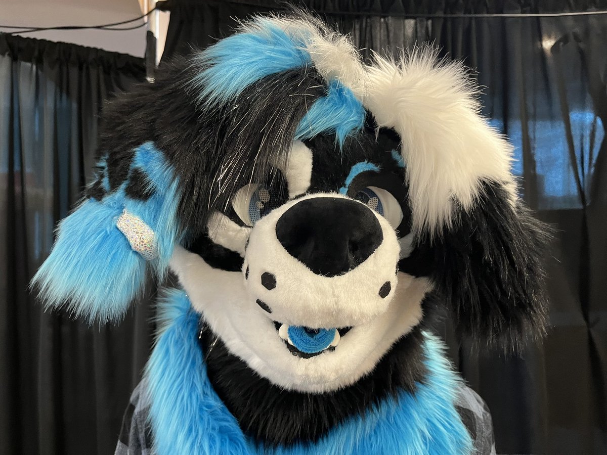 This cutie is looking for a home! 
2️⃣,0️⃣0️⃣0️⃣
Comes with:
💙 Head, hands and tail 
💙Belt by <a href="/ZeroRemnants/">⭐️Zero is Resting after MFF😴⭐️</a> 
💙Brush and Fan 
💙Cleaning kit 

✨Dm on TG : BigZhusky or here ✨