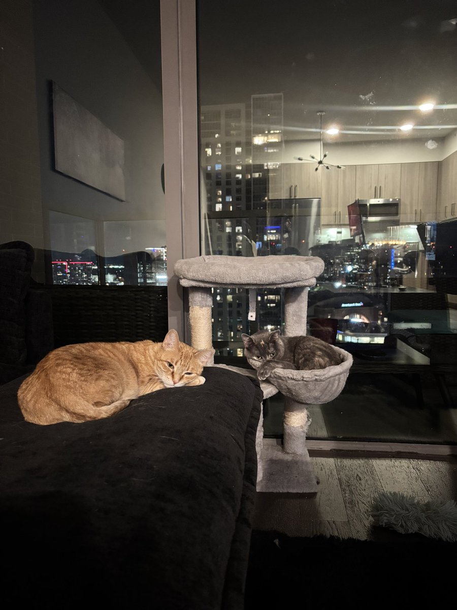 L 🍒 (@lo_p3ezy) on Twitter photo 