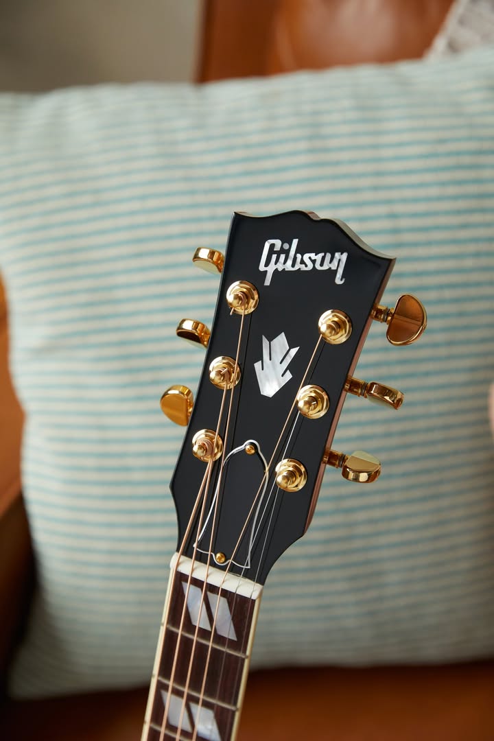 The Hummingbird Standard is available in a  version with rosewood back and sides. 

Check out our Modern Acoustic Collection, HERE: ow.ly/rffU50VVi99