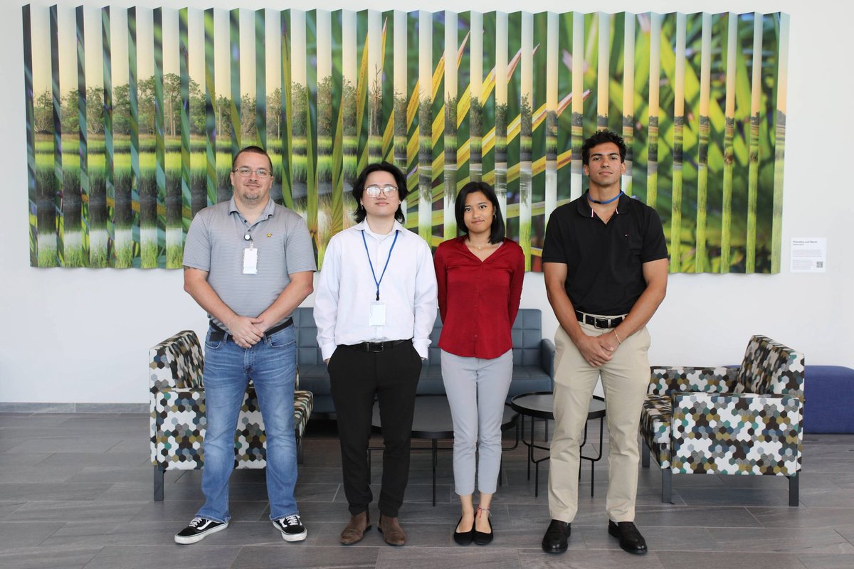 More interns have arrived. These future leaders represent <a href="/UofNorthFlorida/">University of North Florida</a> and <a href="/FSCJ_Official/">FSCJ</a>. They are joining JEA in our Grants, Technology, and Engineering teams.

Help us welcome them to JEA! 👏

 #JEAIntern