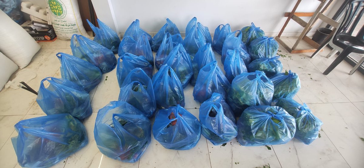 Thanks to a kind donor, I distributed 60+ veggie baskets to displaced families in northern &amp; southern Gaza. But thousands still wait for help.

Support us to reach more families—your donation saves lives:
buy.stripe.com/fZe03eduN5aq8u…