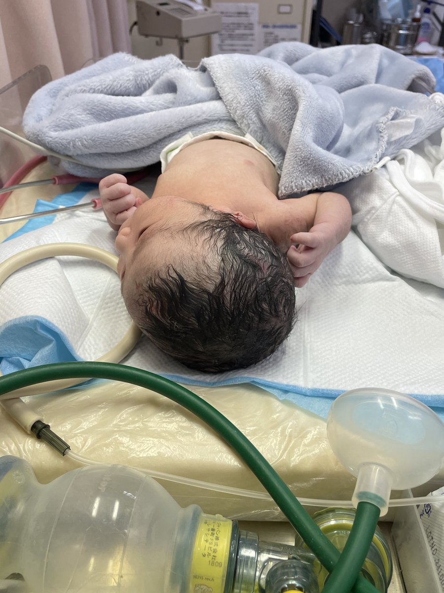 puffin.avax🔺✳️77bit🟡 tweet media