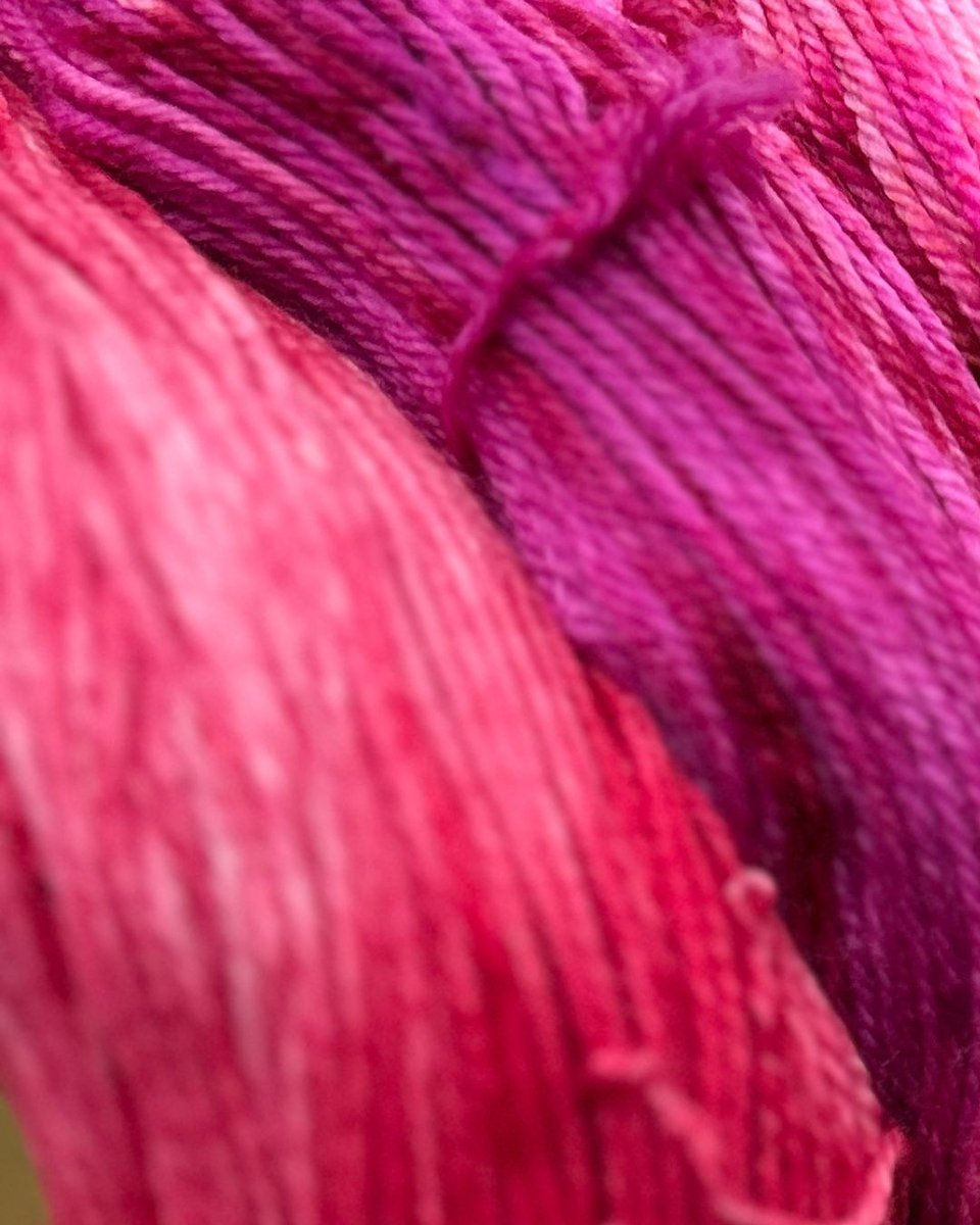 lolodidit tweet media